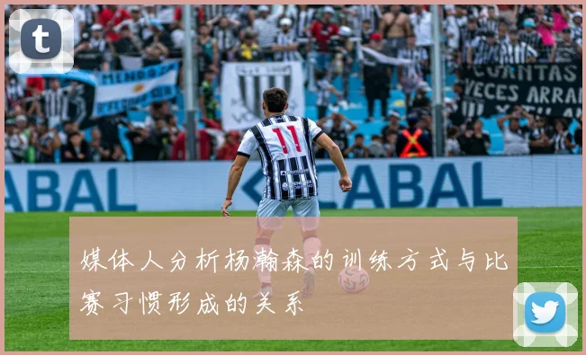 媒体人分析杨瀚森的训练方式与比赛习惯形成的关系