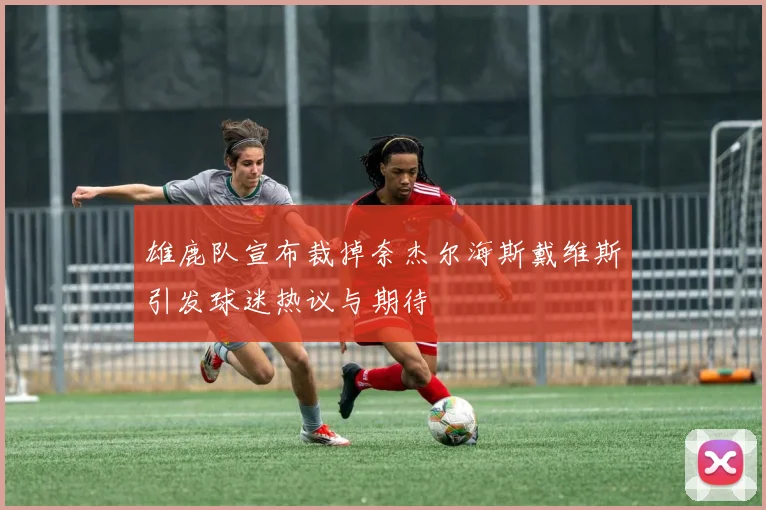 雄鹿队宣布裁掉奈杰尔海斯戴维斯引发球迷热议与期待